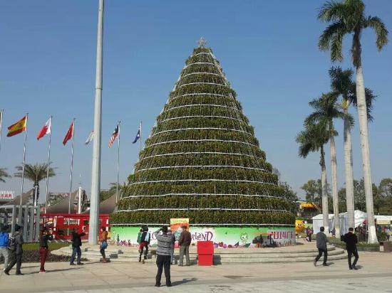 Flowers' World of Shunde